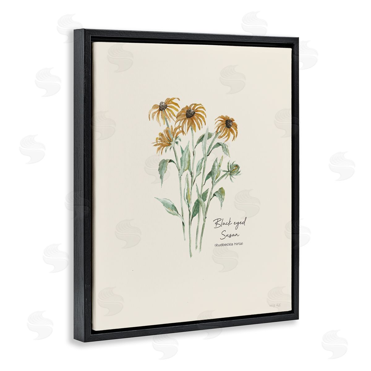 Black Eyed Susans Black Floating Frame Canvas Wall Art, Home Decor by Cindy Jacobs