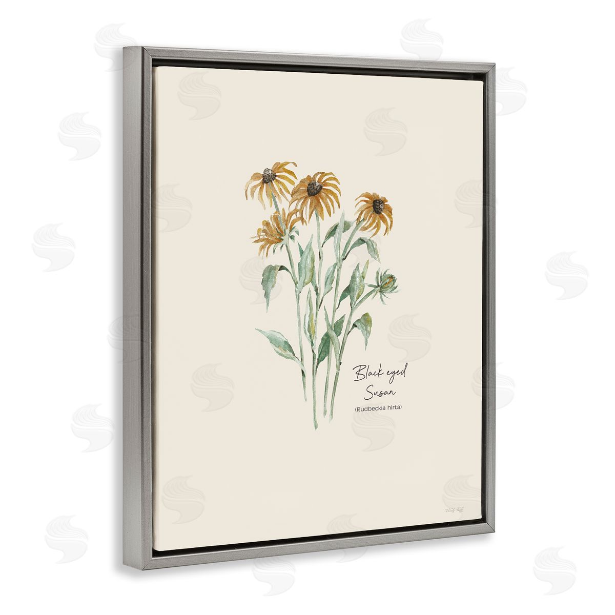 Black Eyed Susans Grey Floating Frame Canvas Wall Art, Home Decor by Cindy Jacobs