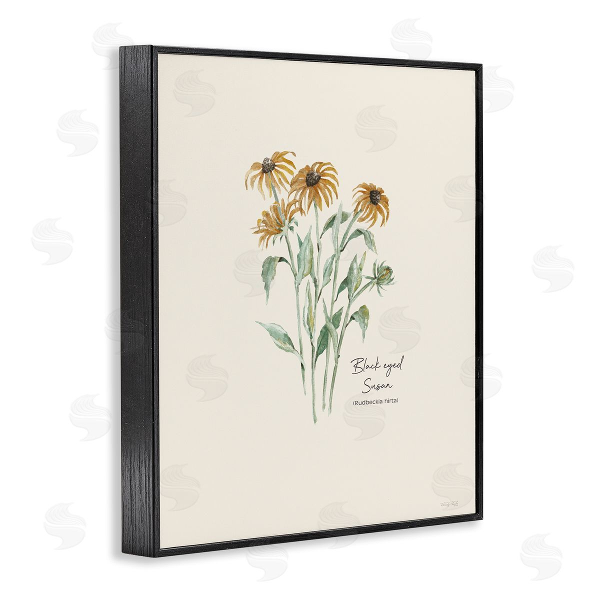 Black Eyed Susans Black Frame Print Wall Art, Home Decor by Cindy Jacobs
