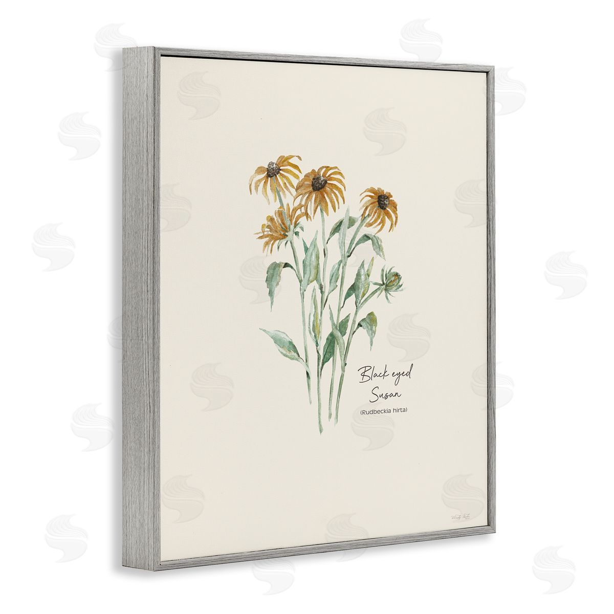 Black Eyed Susans Grey Frame Print Wall Art, Home Decor by Cindy Jacobs