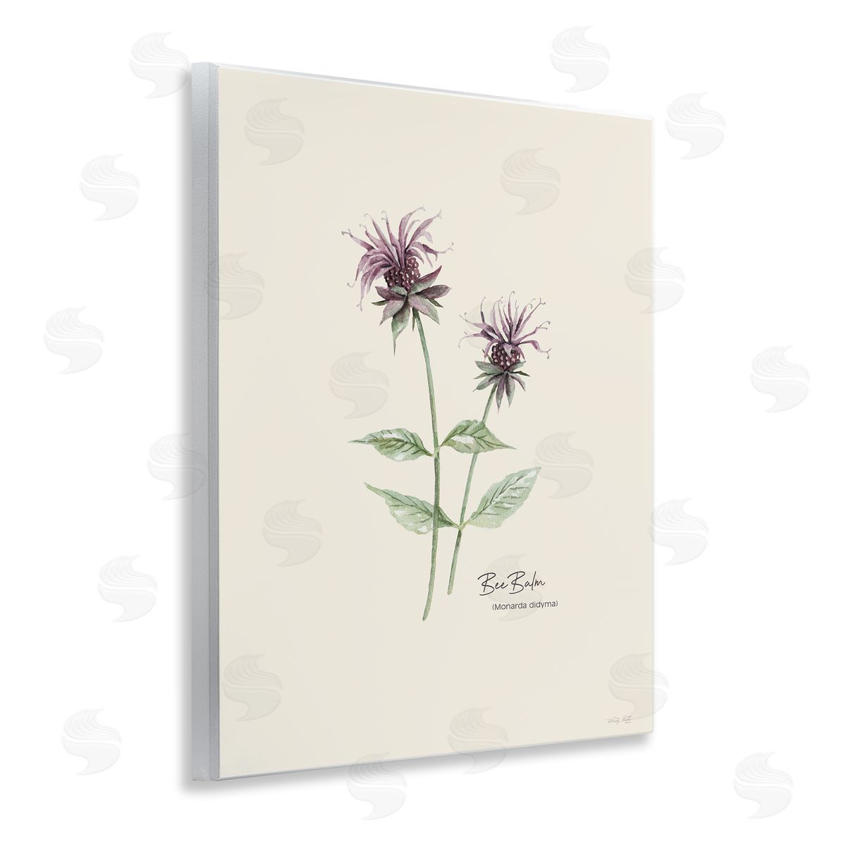 Bee Balm Herb Wood Plaque Wall Art, Home Decor by Cindy Jacobs
