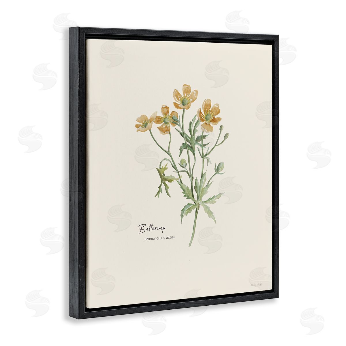 Simple Buttercup Flowers Black Floating Frame Canvas Wall Art, Home Decor by Cindy Jacobs