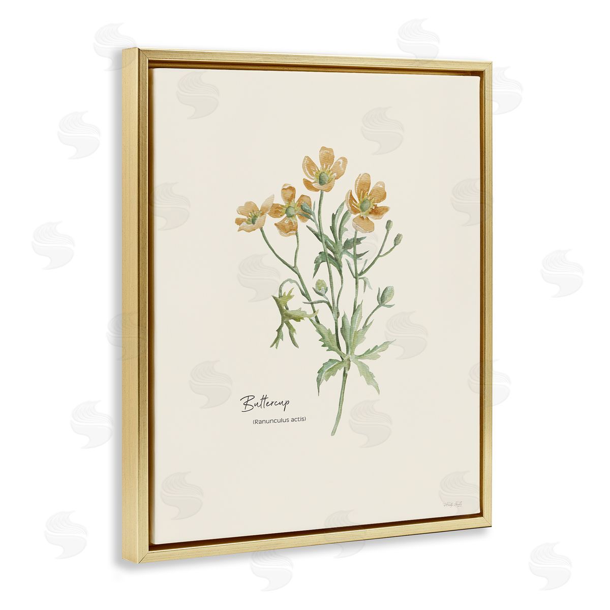 Simple Buttercup Flowers Gold Floating Frame Canvas Wall Art, Home Decor by Cindy Jacobs