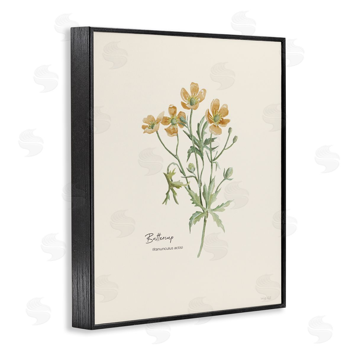 Simple Buttercup Flowers Black Frame Print Wall Art, Home Decor by Cindy Jacobs