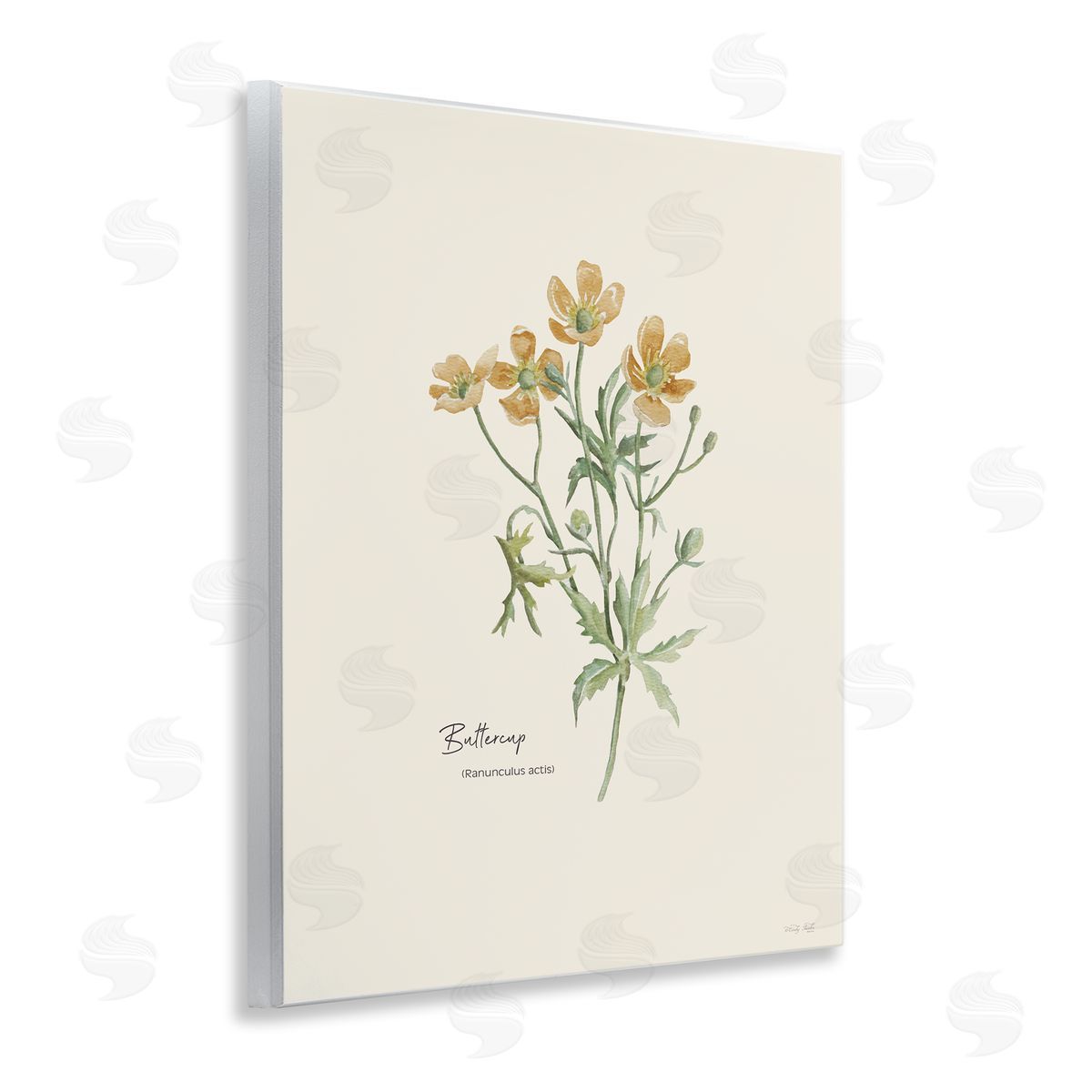 Simple Buttercup Flowers Wood Plaque Wall Art, Home Decor by Cindy Jacobs
