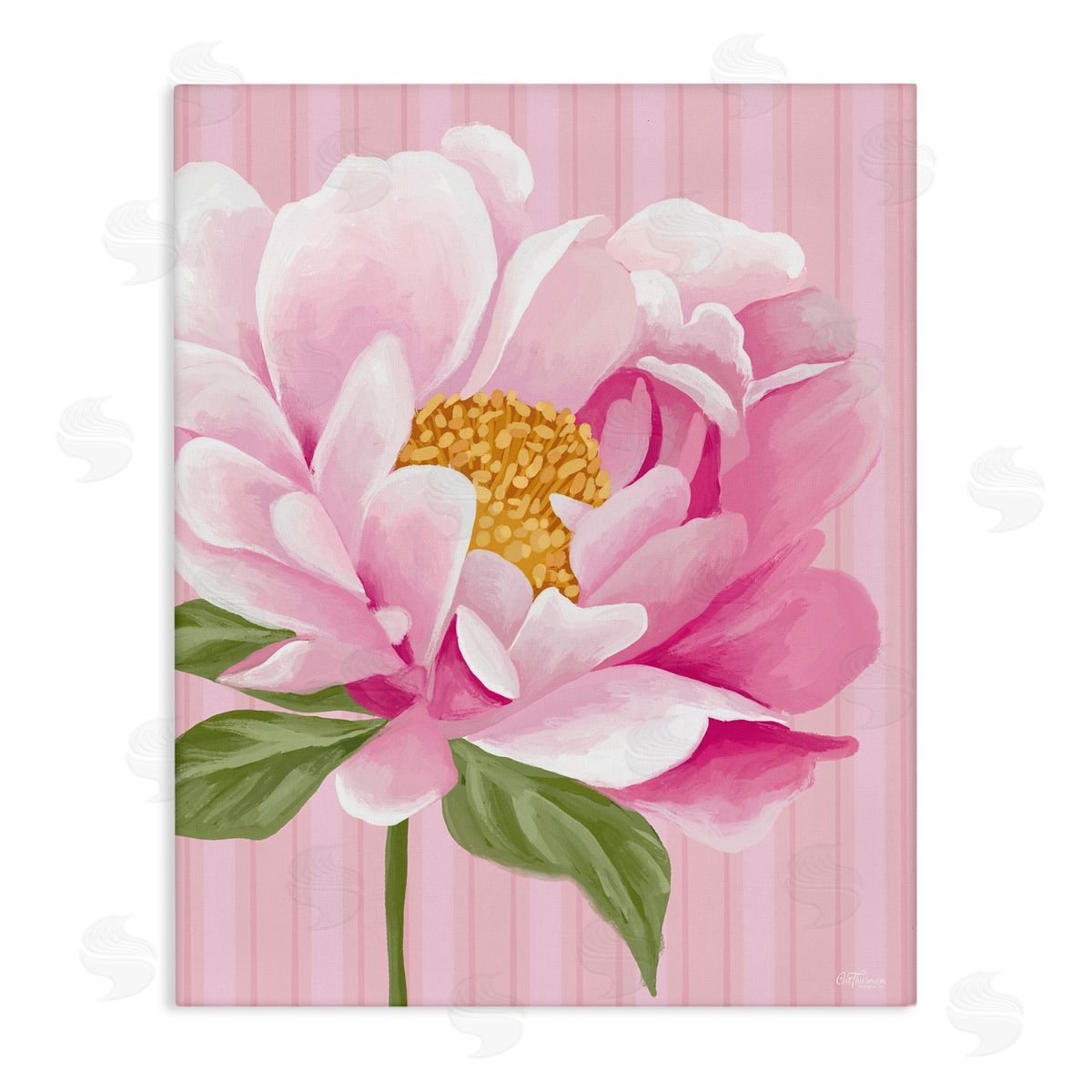 Pink Carnation Bloom Canvas Wall Art, Home Decor by Cat Thurman Designs