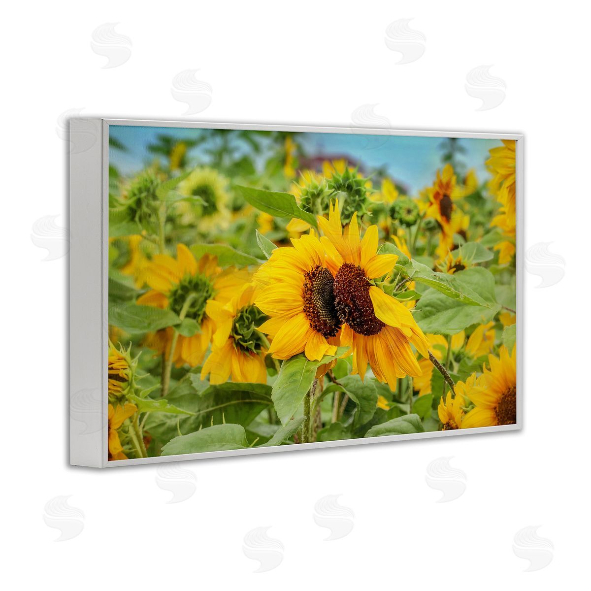 Sunflower Field Photography White Frame Print Wall Art, Home Decor by Carrie Ann Grippo-Pike