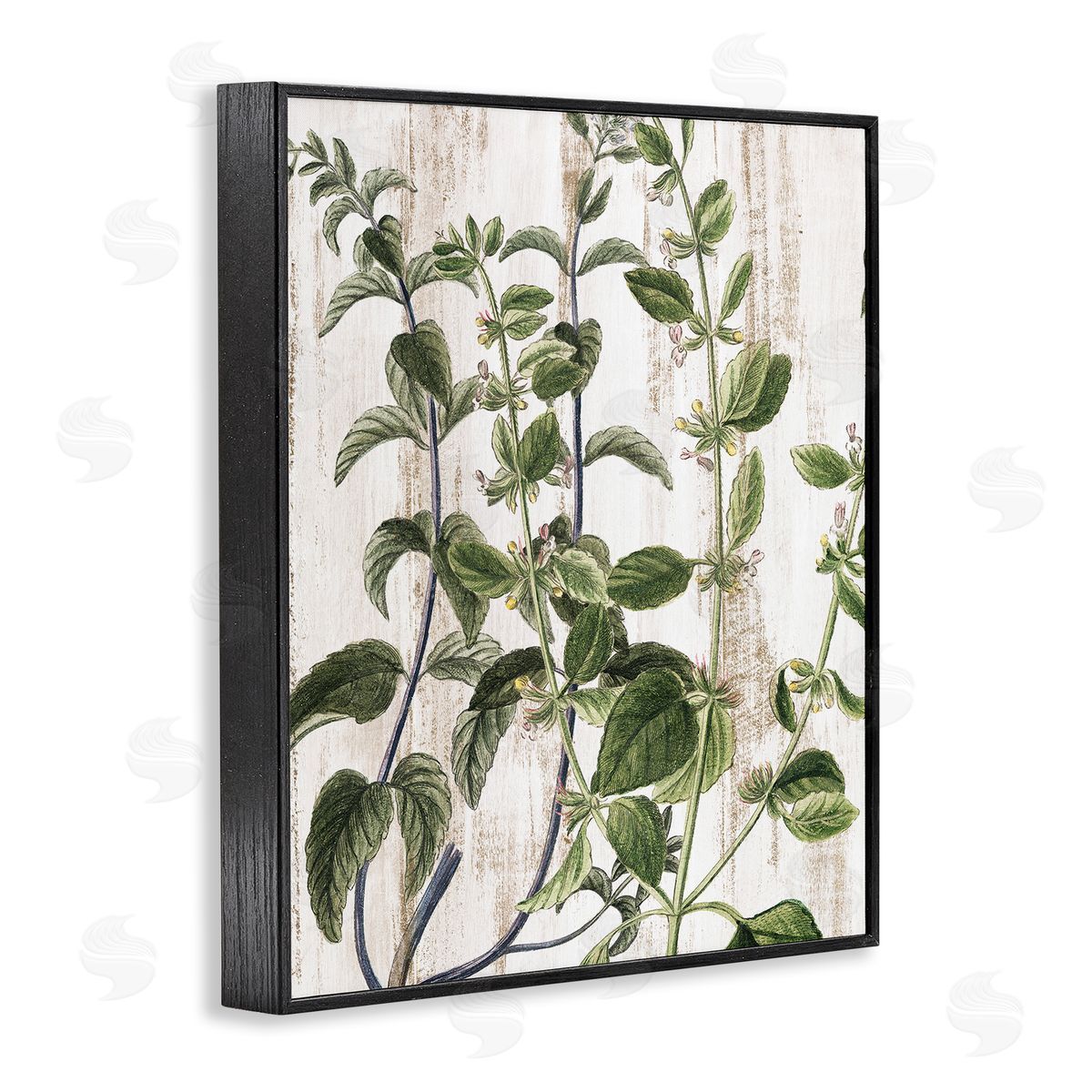 Rustic Botanical Vines Black Frame Print Wall Art, Home Decor by Kim Allen