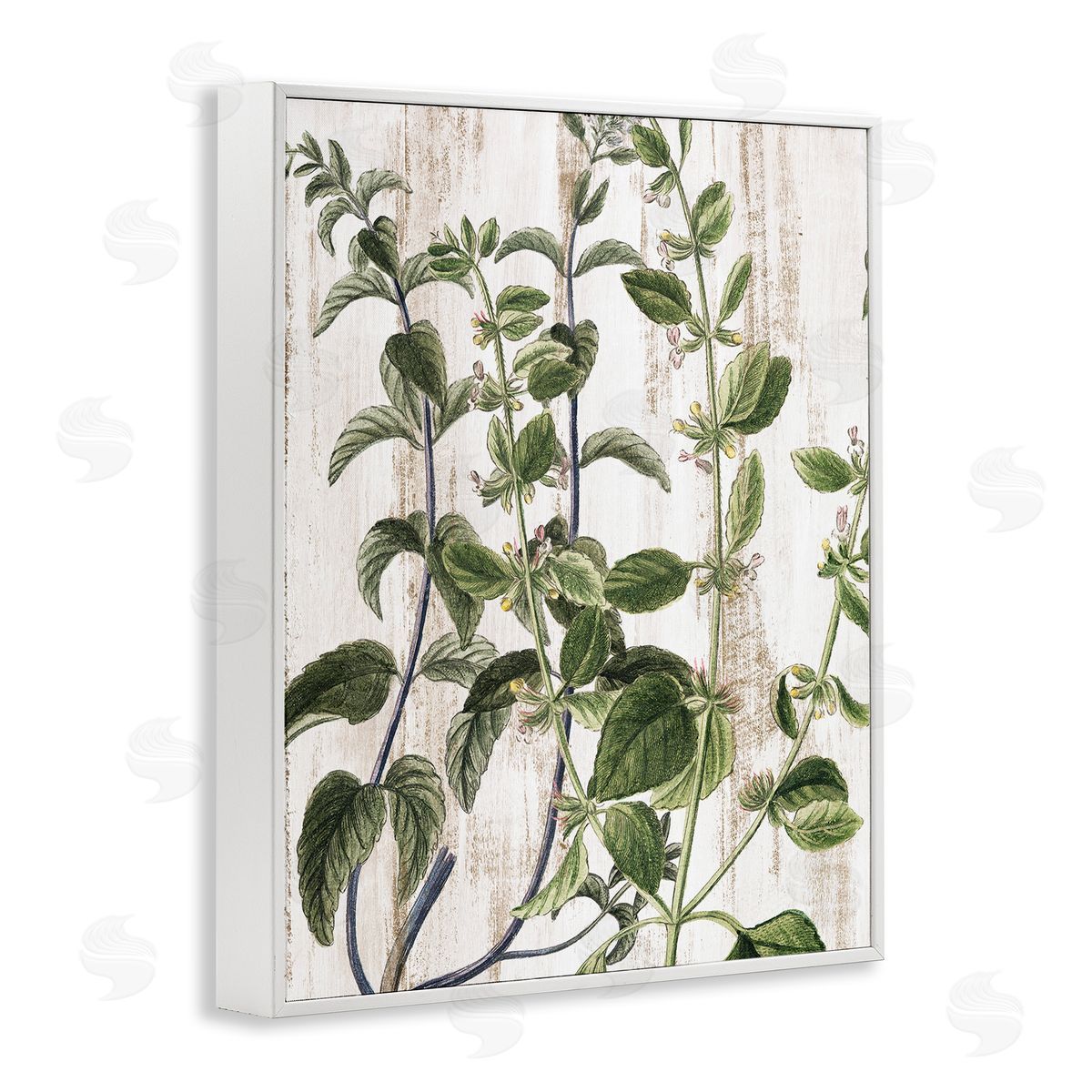 Rustic Botanical Vines White Frame Print Wall Art, Home Decor by Kim Allen