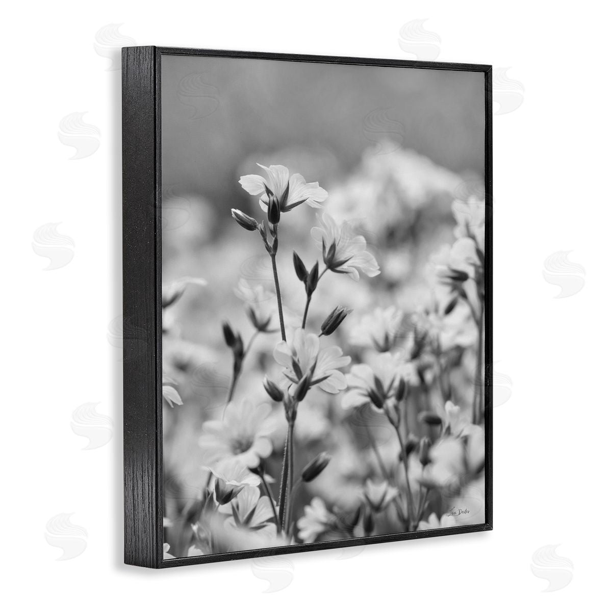 Budding Meadow Flora Black Frame Print Wall Art, Home Decor by Lori Deiter