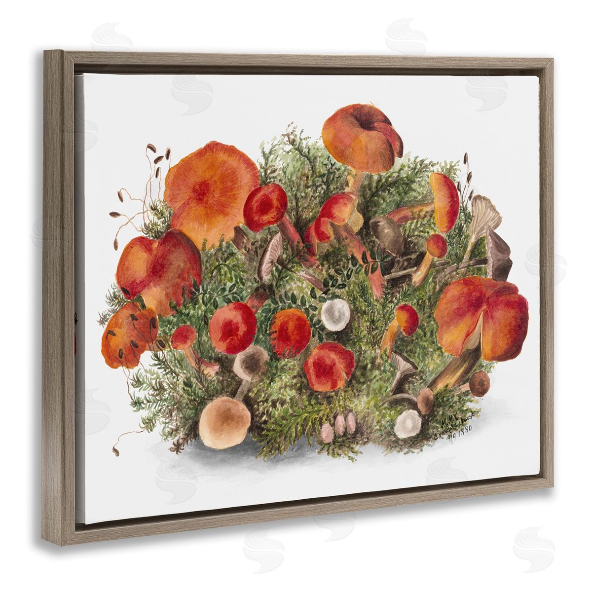 Rustic Cottage Mushrooms Brown Floating Frame Canvas Wall Art, Home Decor by Lettered and Lined