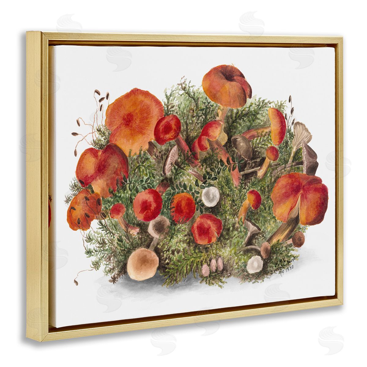 Rustic Cottage Mushrooms Gold Floating Frame Canvas Wall Art, Home Decor by Lettered and Lined