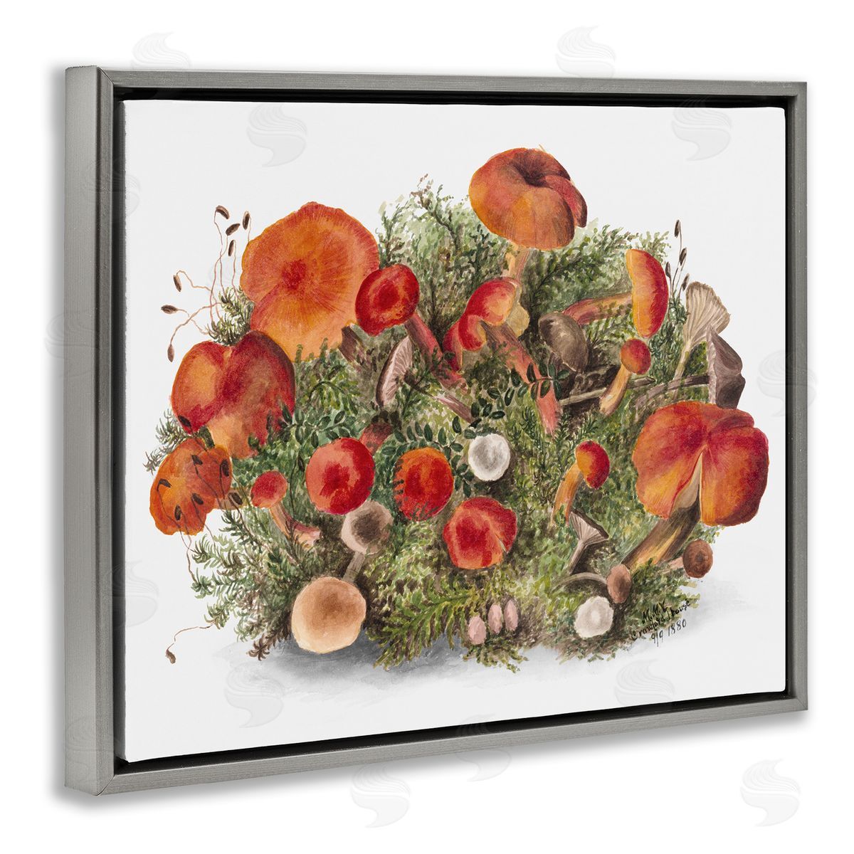 Rustic Cottage Mushrooms Grey Floating Frame Canvas Wall Art, Home Decor by Lettered and Lined