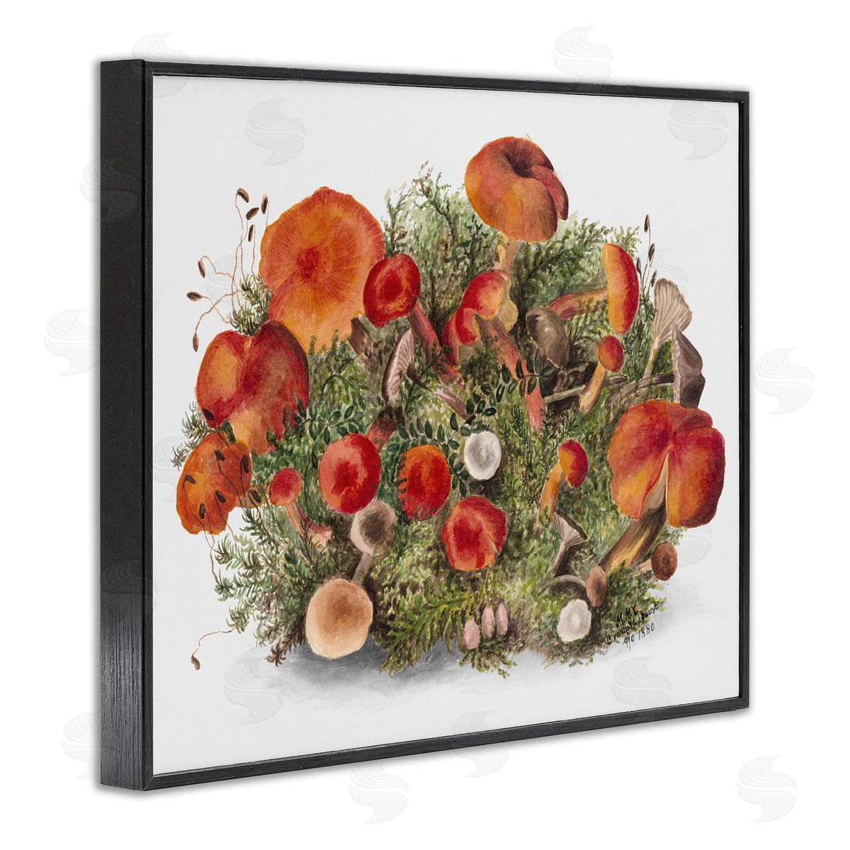 Rustic Cottage Mushrooms Black Frame Print Wall Art, Home Decor by Lettered and Lined