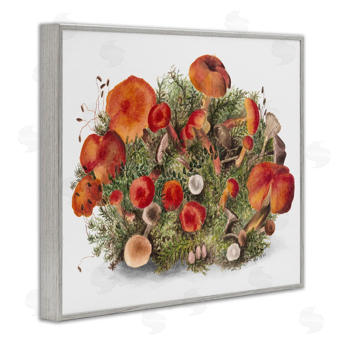 Rustic Cottage Mushrooms Grey Frame Print Wall Art, Home Decor by Lettered and Lined