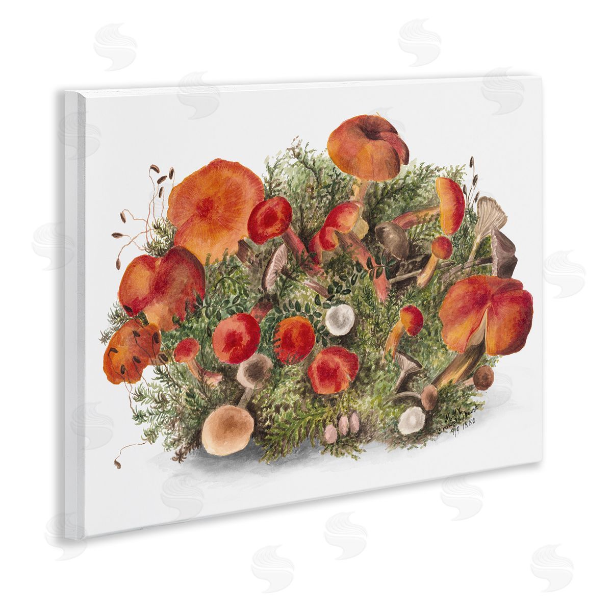 Rustic Cottage Mushrooms Wood Plaque Wall Art, Home Decor by Lettered and Lined