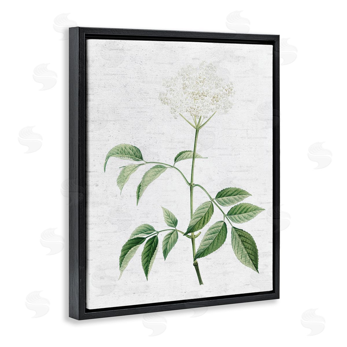 Subtle Neutral Flower Black Floating Frame Canvas Wall Art, Home Decor by Lettered and Lined
