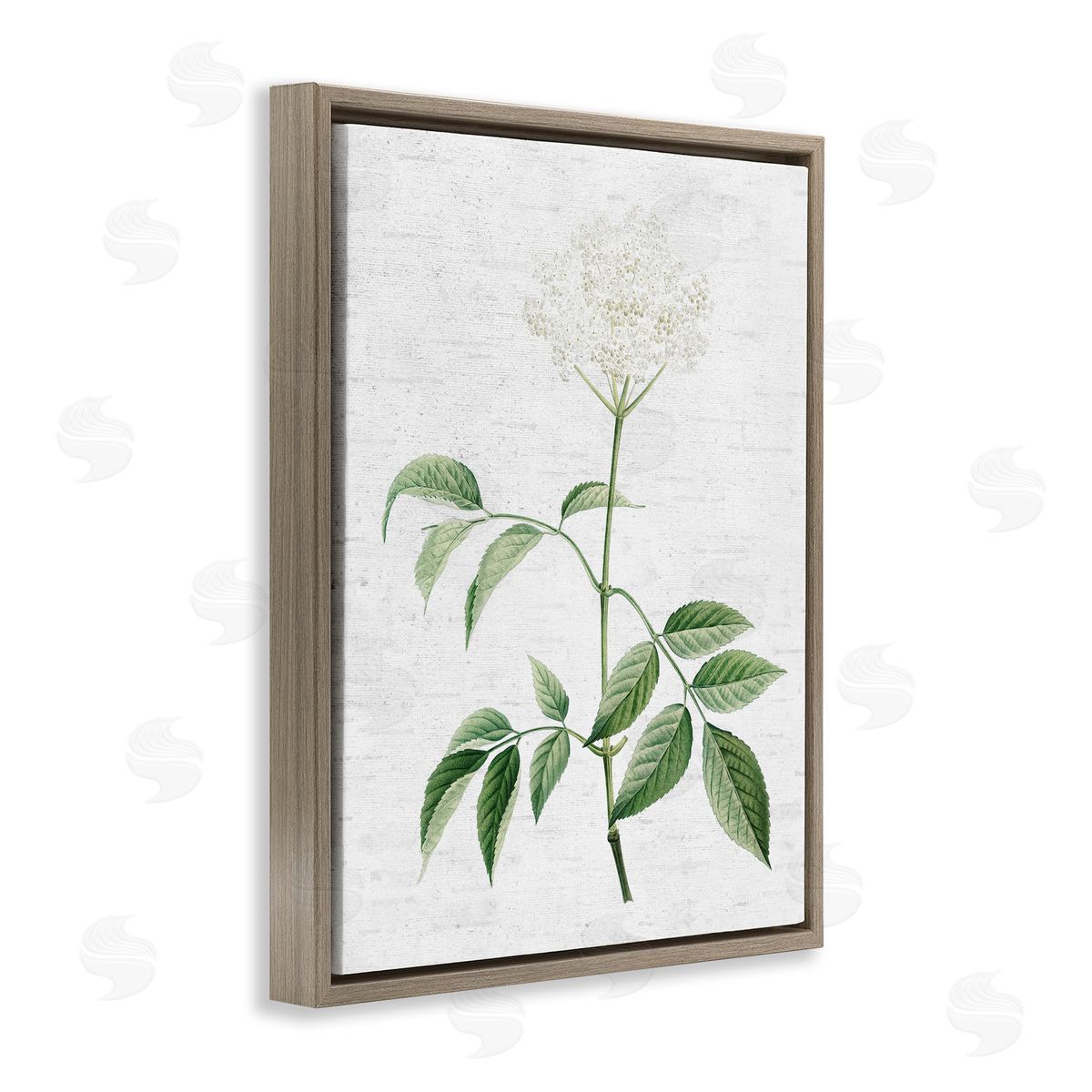 Subtle Neutral Flower Brown Floating Frame Canvas Wall Art, Home Decor by Lettered and Lined