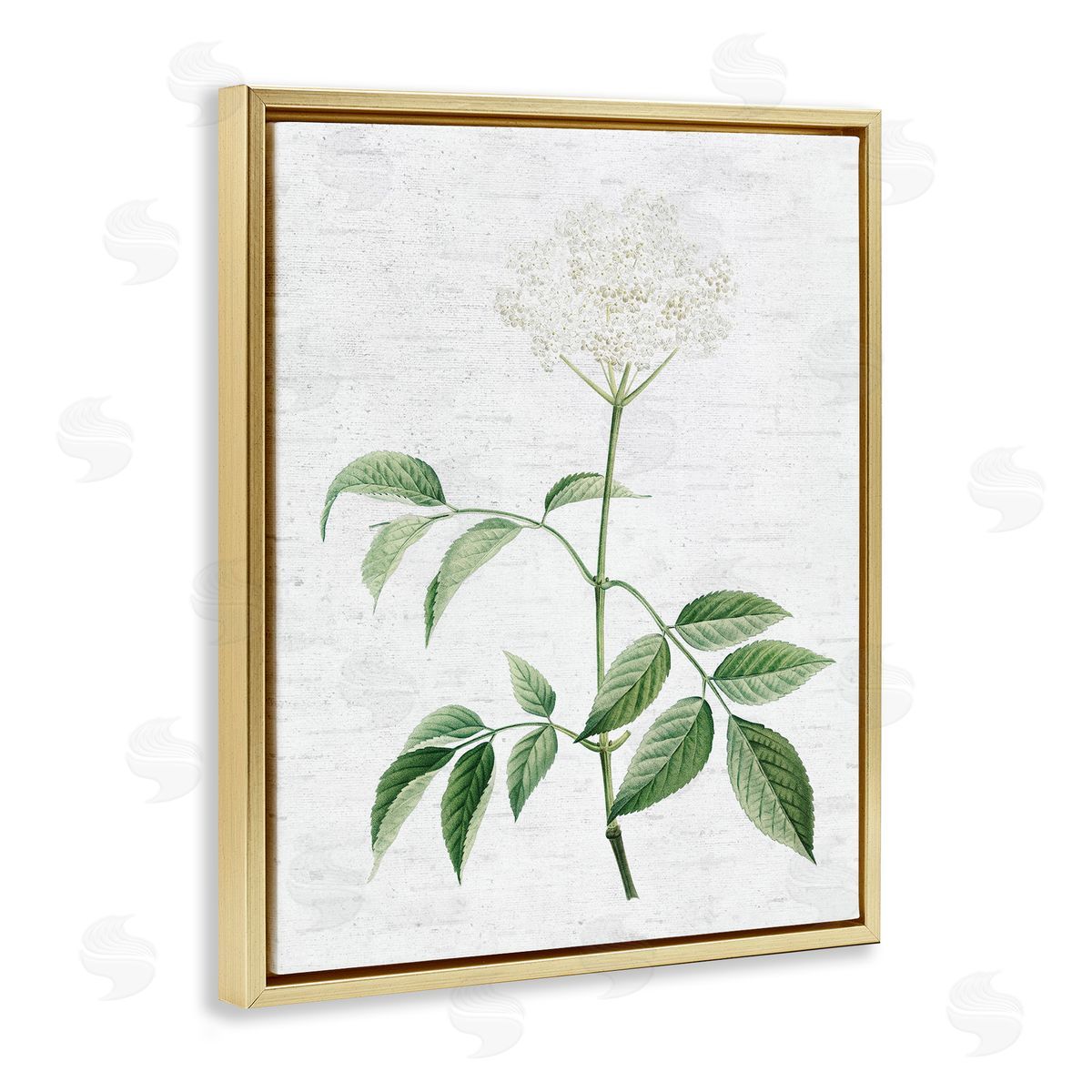 Subtle Neutral Flower Gold Floating Frame Canvas Wall Art, Home Decor by Lettered and Lined