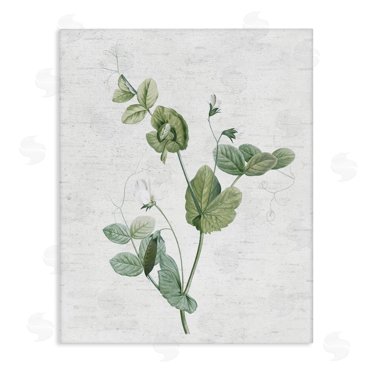 Soft Country Botanical Canvas Wall Art, Home Decor by Lettered and Lined