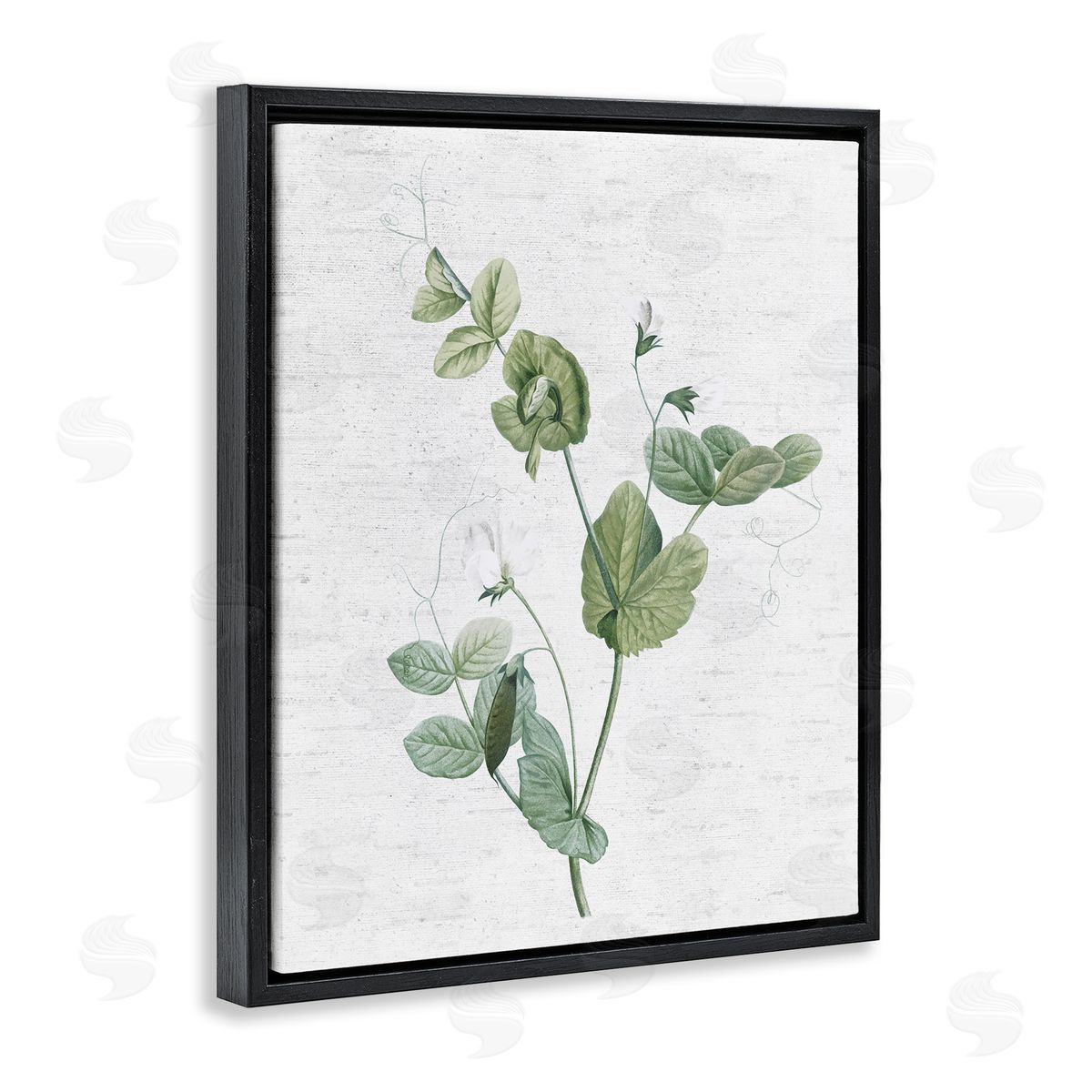 Soft Country Botanical Black Floating Frame Canvas Wall Art, Home Decor by Lettered and Lined
