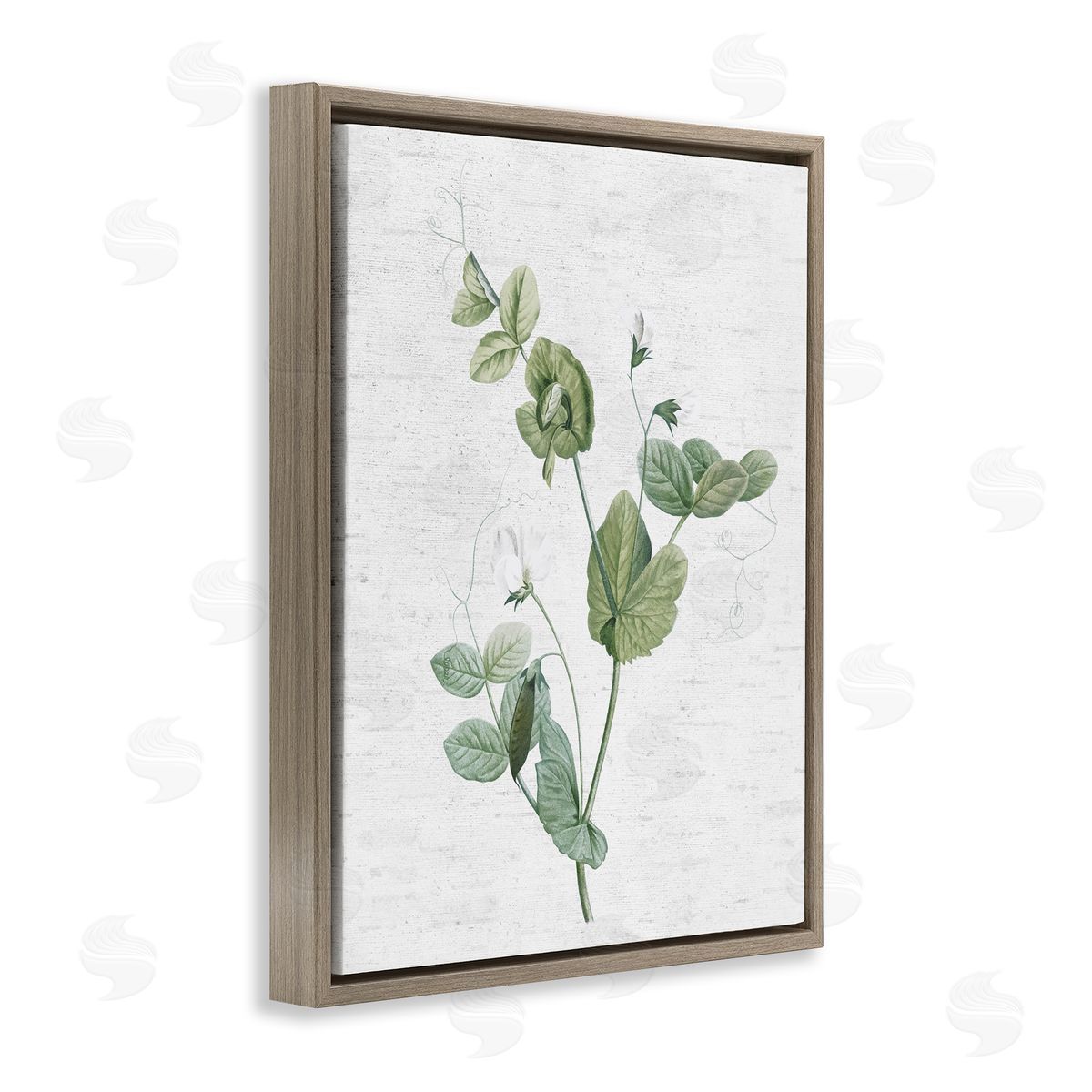 Soft Country Botanical Brown Floating Frame Canvas Wall Art, Home Decor by Lettered and Lined