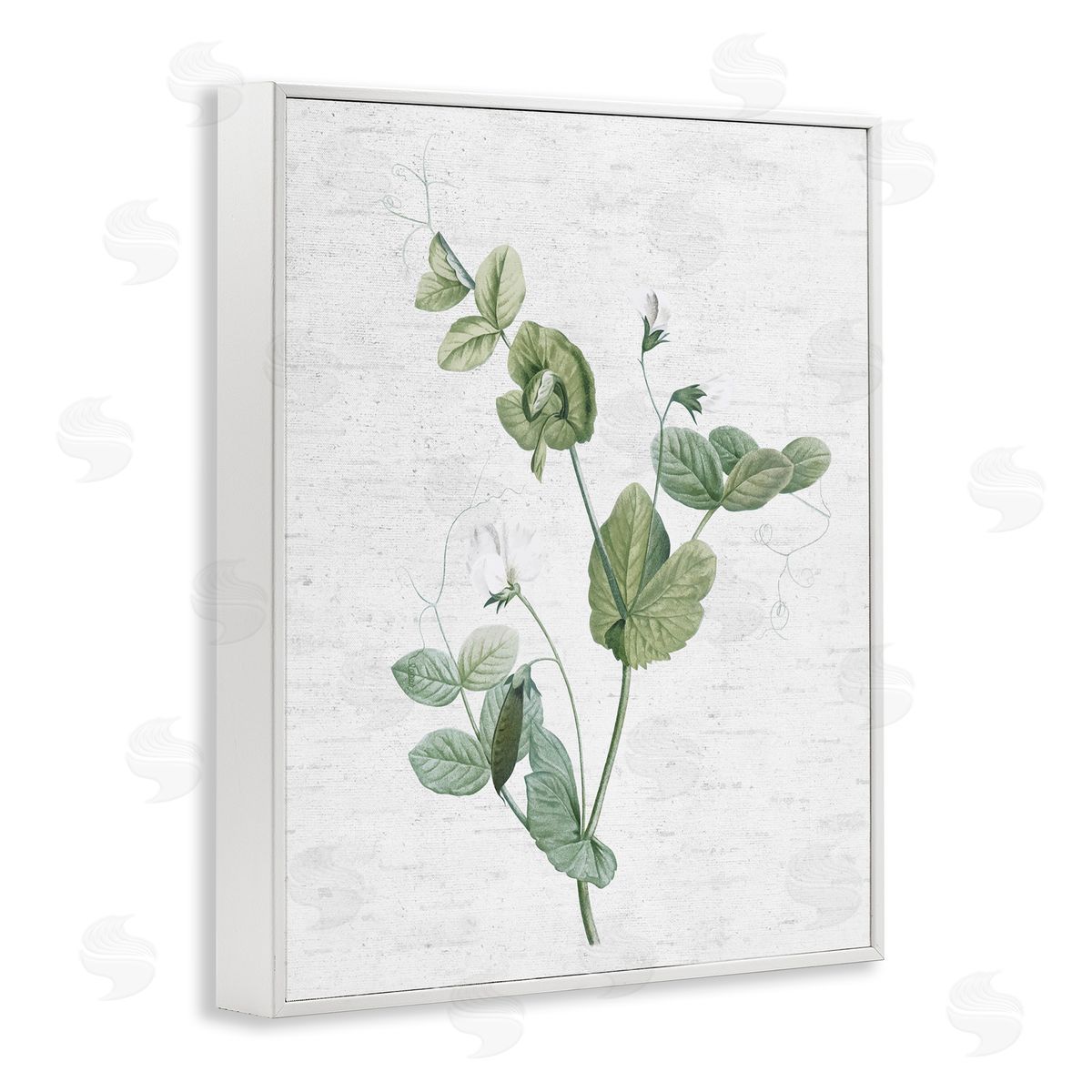 Soft Country Botanical White Frame Print Wall Art, Home Decor by Lettered and Lined