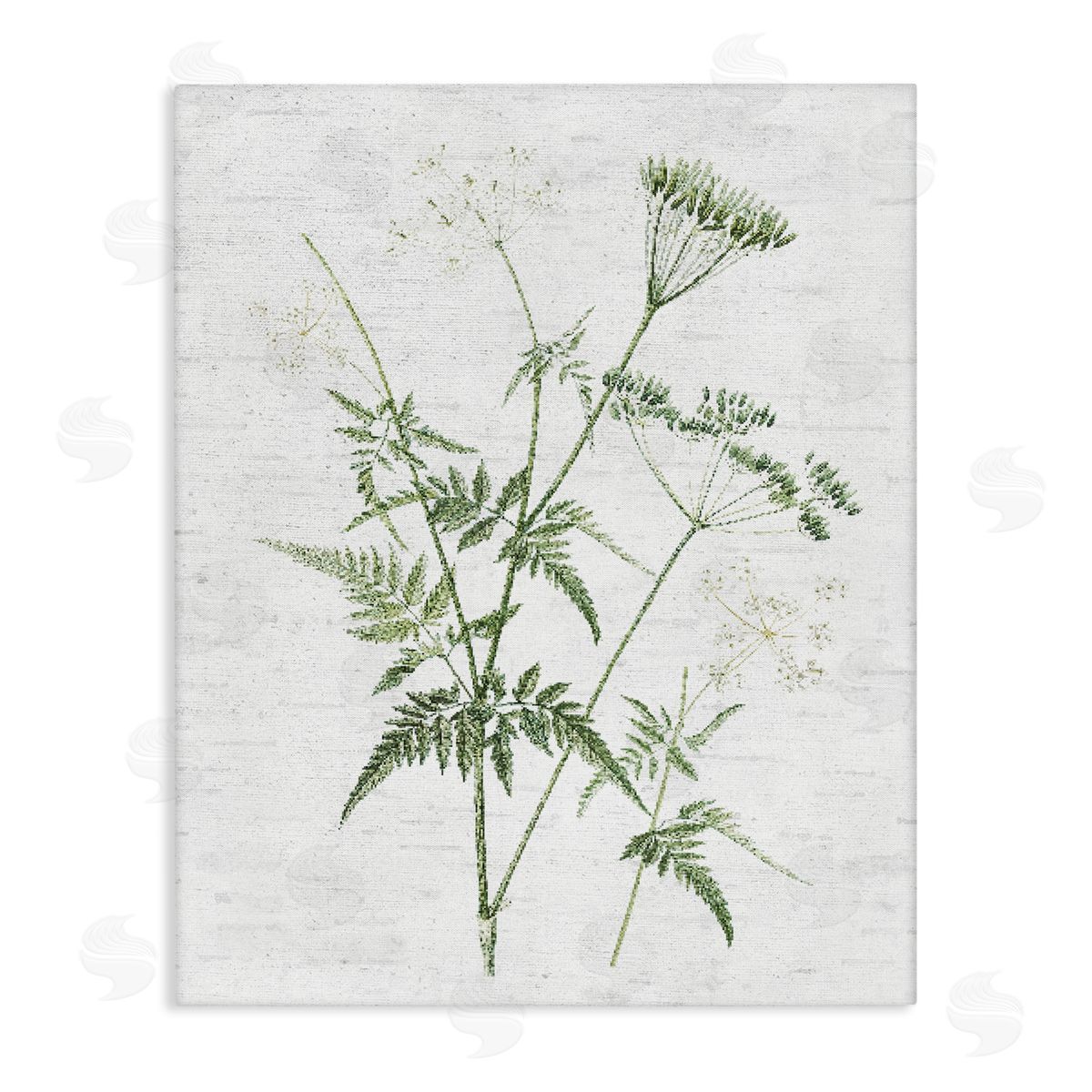 Soft Blooming Bud Canvas Wall Art, Home Decor by Lettered and Lined