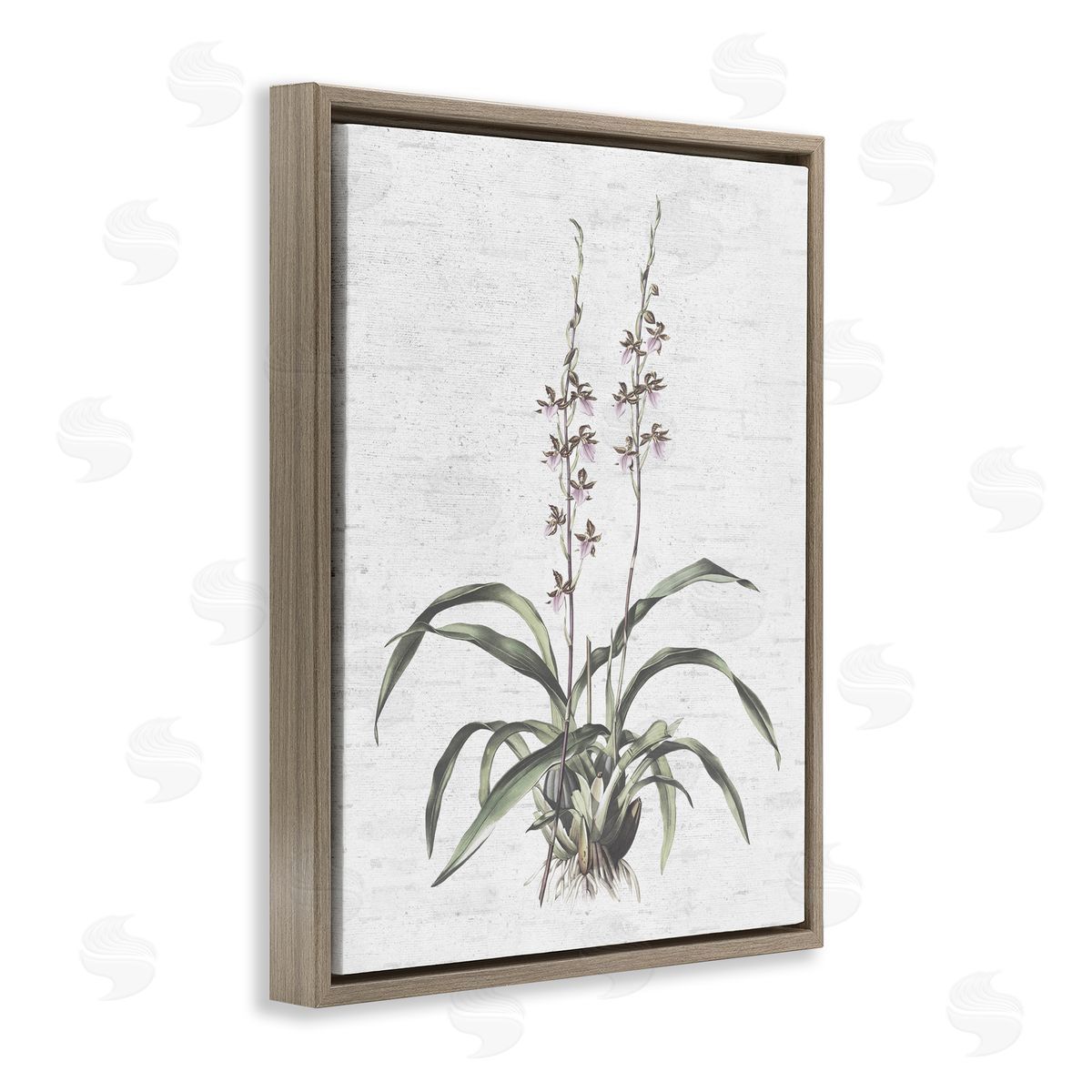 Blooming Herb Bud Brown Floating Frame Canvas Wall Art, Home Decor by Lettered and Lined