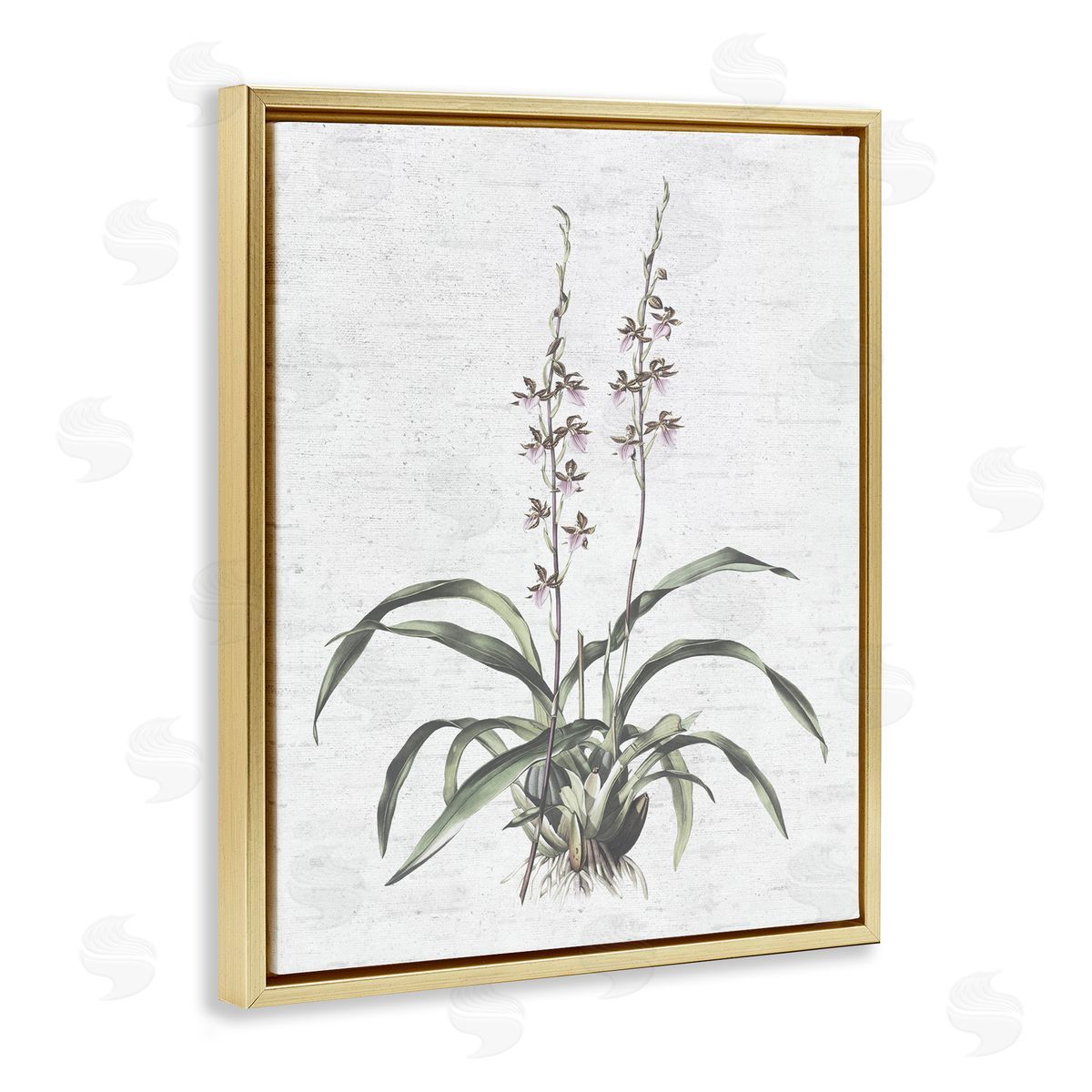 Blooming Herb Bud Gold Floating Frame Canvas Wall Art, Home Decor by Lettered and Lined