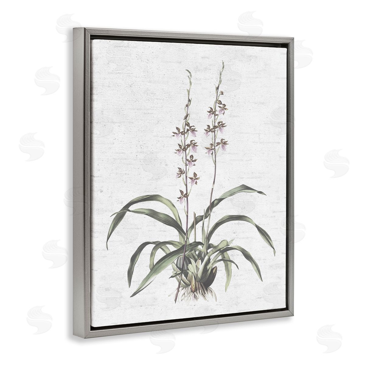 Blooming Herb Bud Grey Floating Frame Canvas Wall Art, Home Decor by Lettered and Lined
