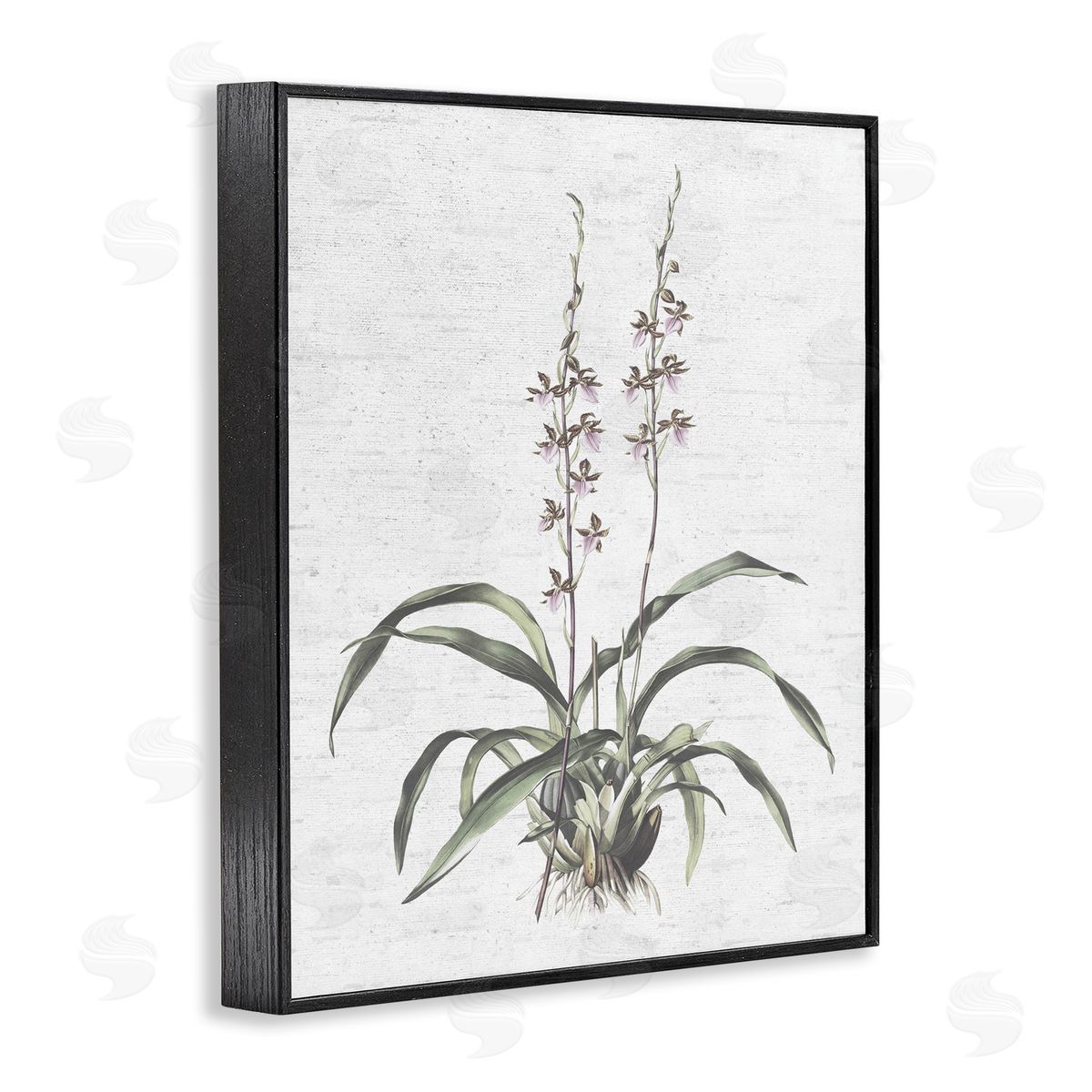 Blooming Herb Bud Black Frame Print Wall Art, Home Decor by Lettered and Lined