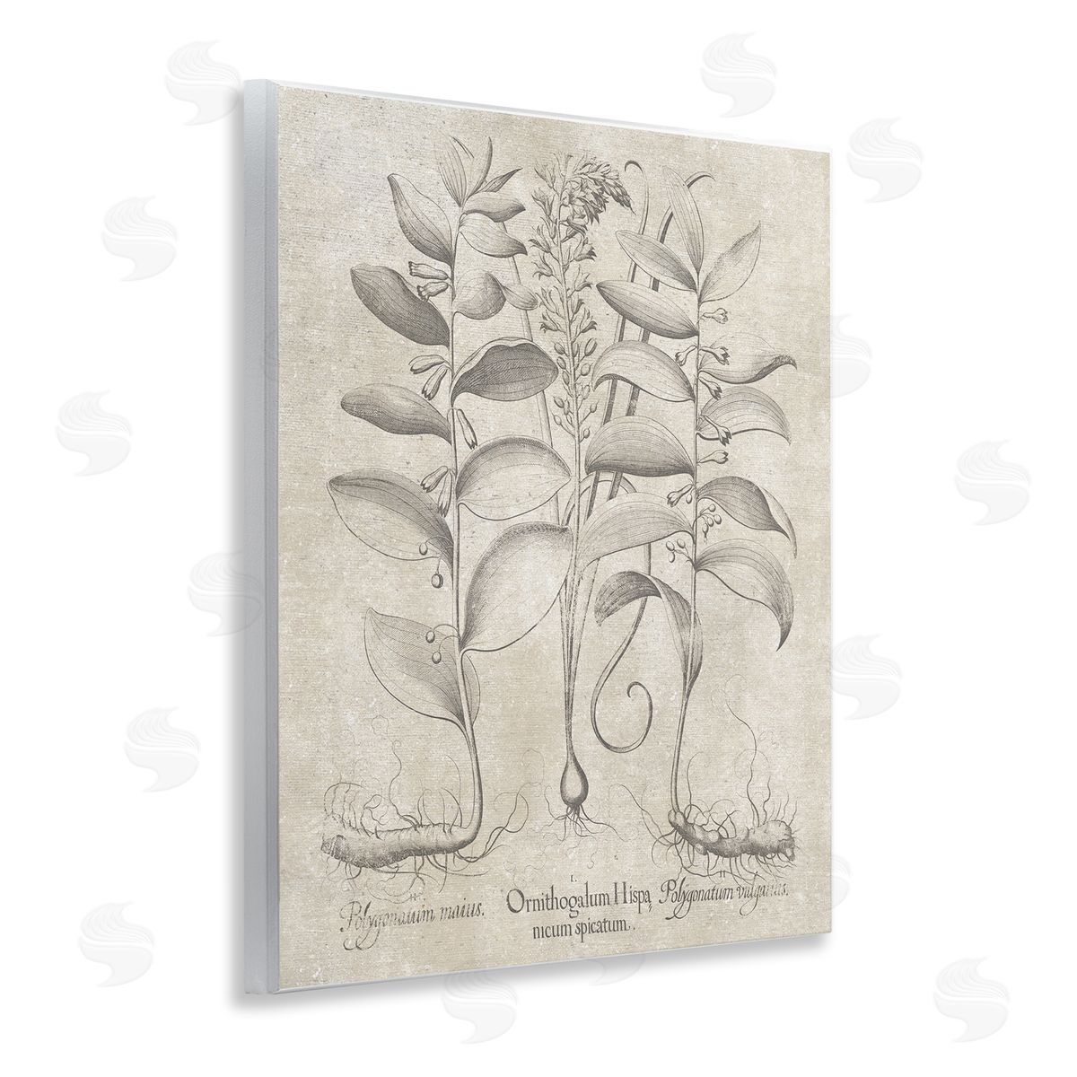 Vintage Botanical Herb Wood Plaque Wall Art, Home Decor by Lettered and Lined
