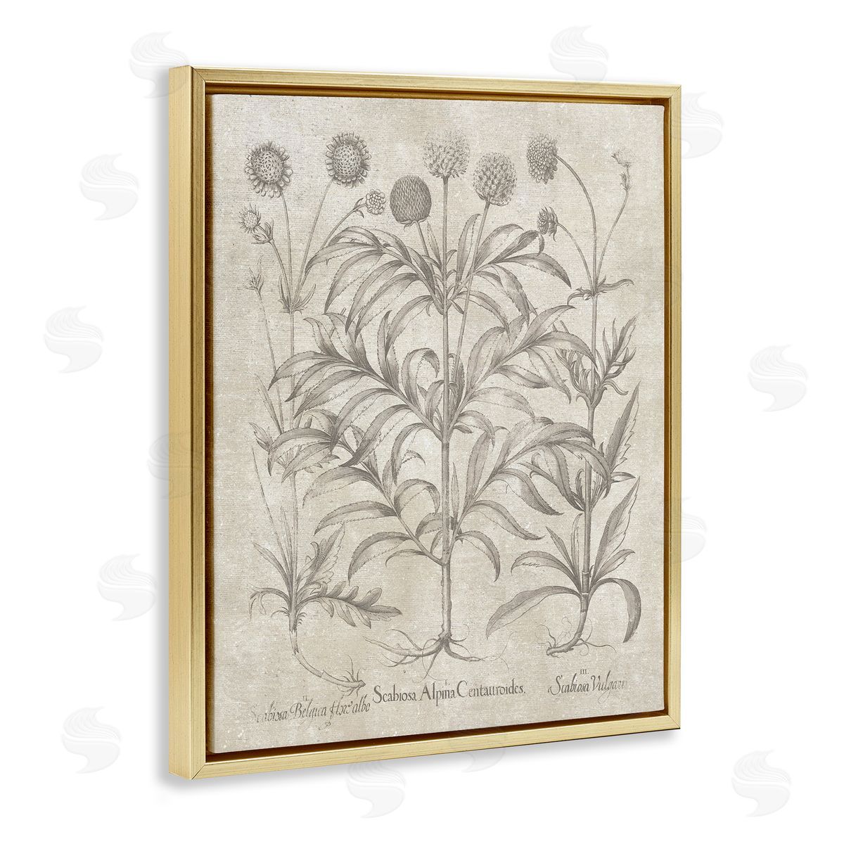 Vintage Plant Life Gold Floating Frame Canvas Wall Art, Home Decor by Lettered and Lined