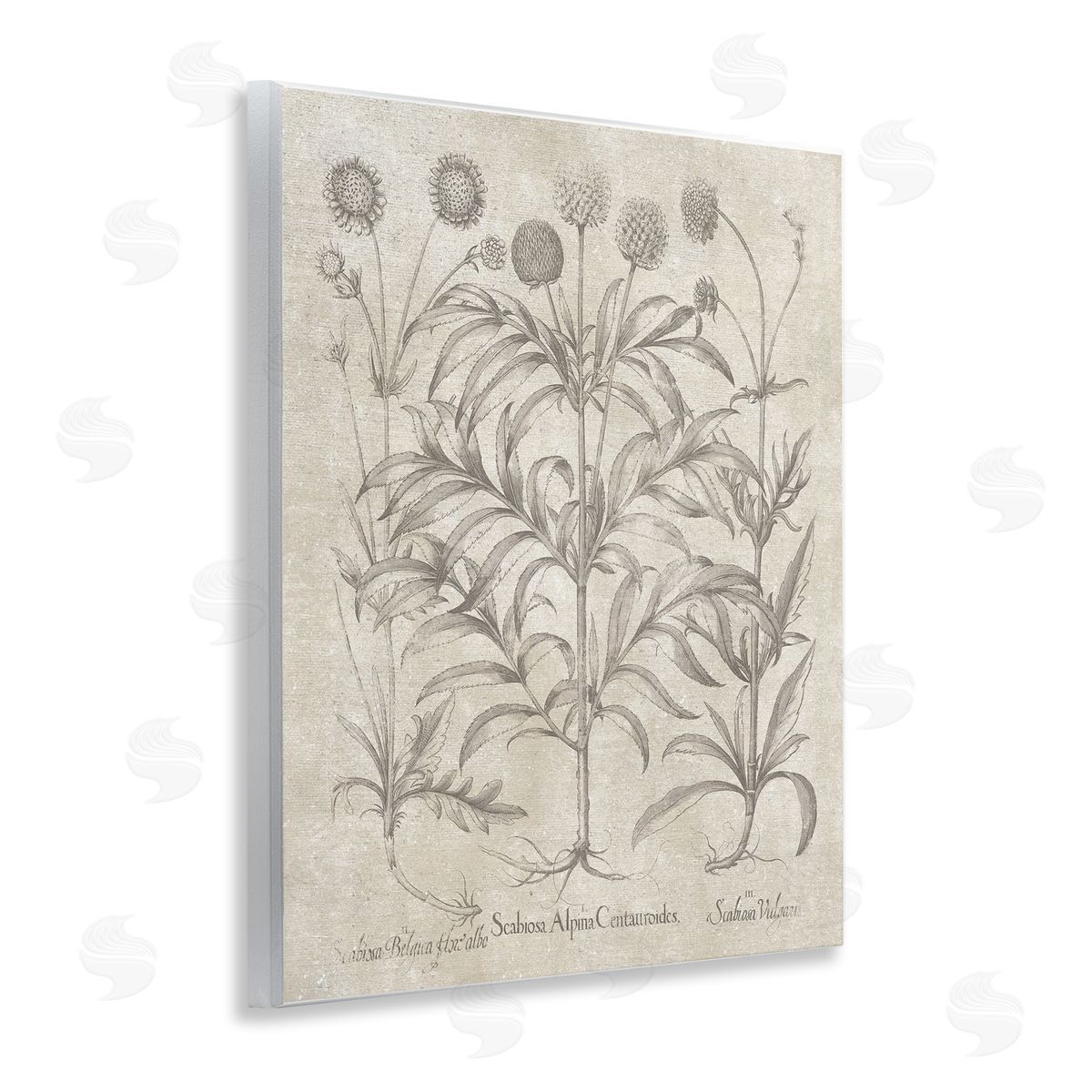 Vintage Plant Life Wood Plaque Wall Art, Home Decor by Lettered and Lined