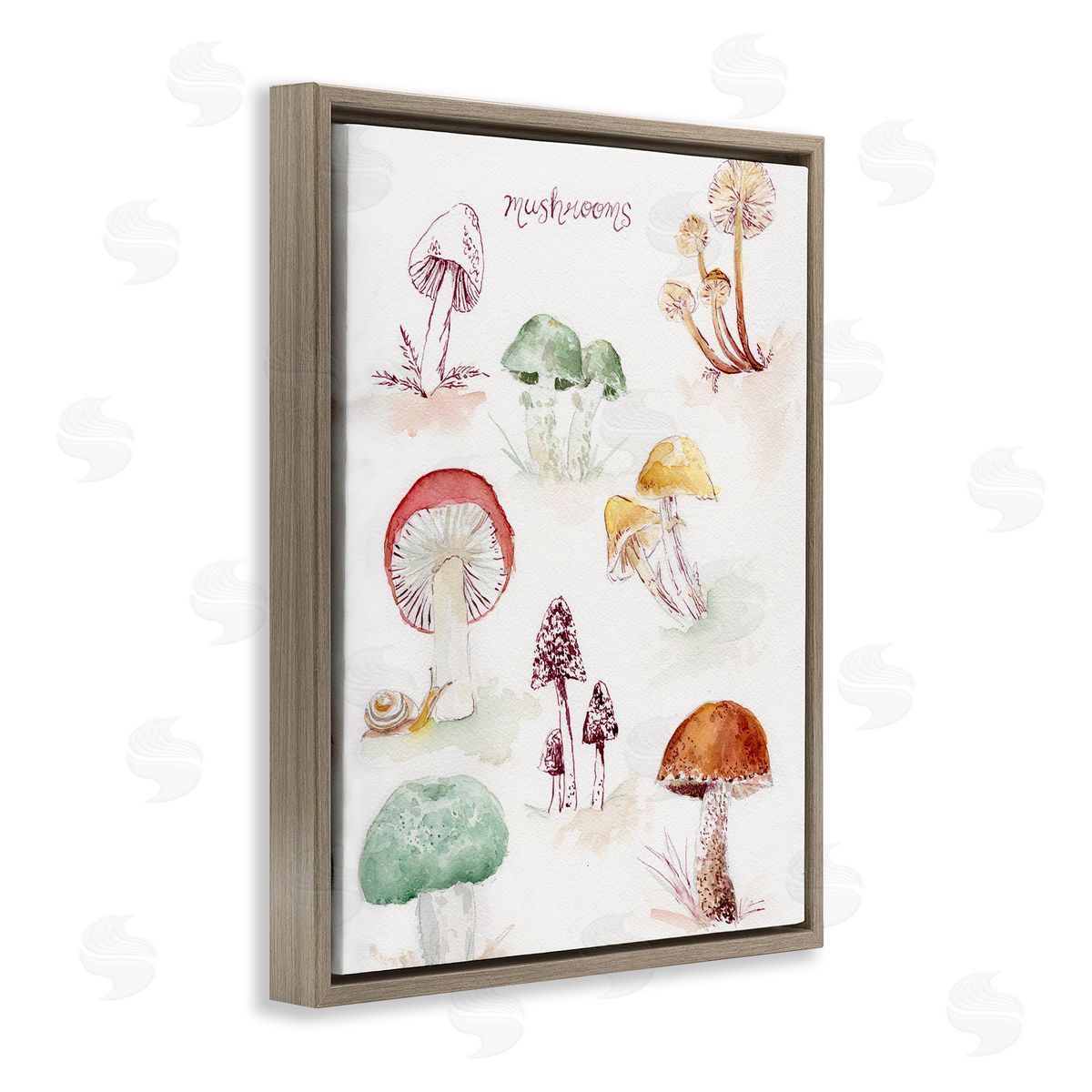 Types Of Mushrooms Brown Floating Frame Canvas Wall Art, Home Decor by Melissa Hyatt