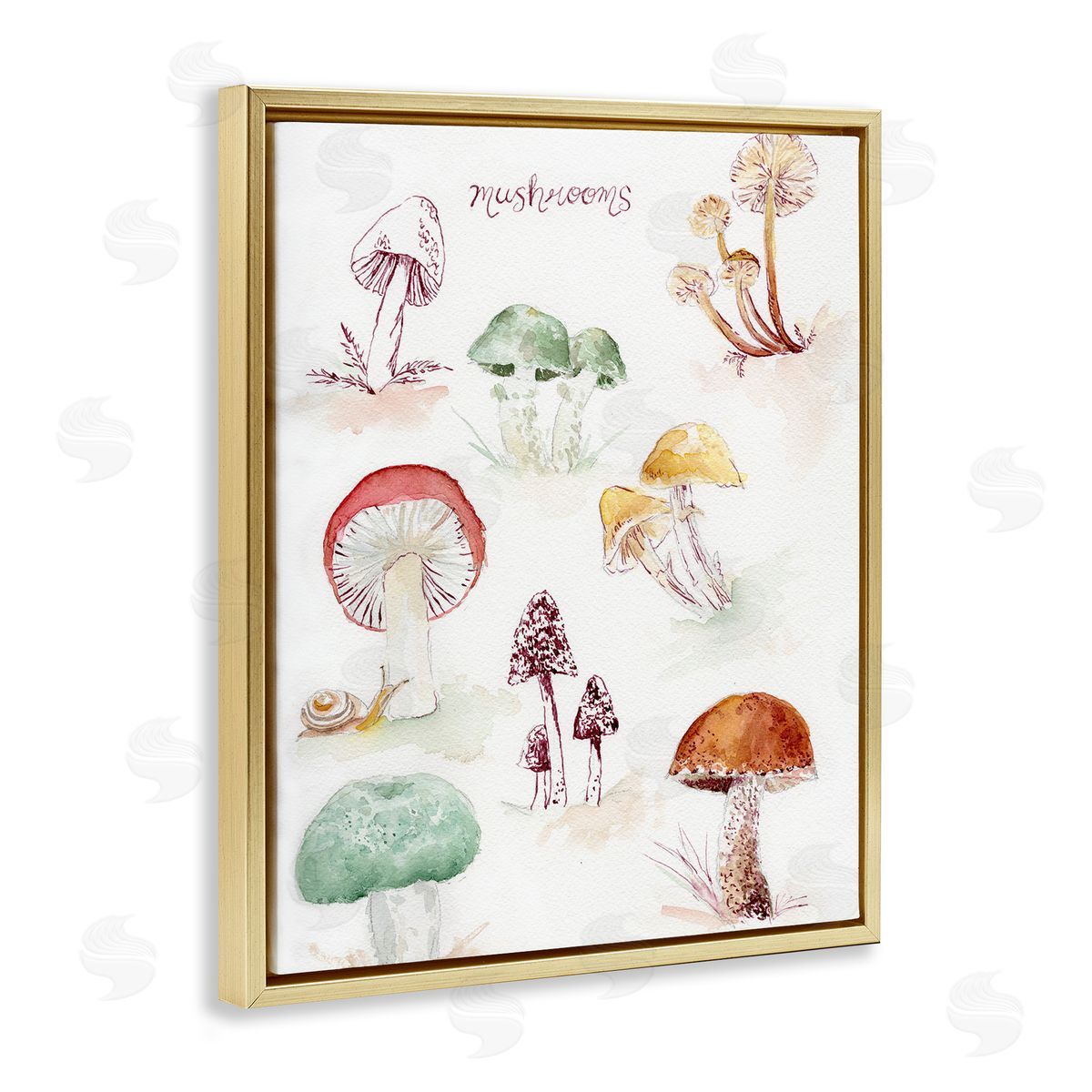 Types Of Mushrooms Gold Floating Frame Canvas Wall Art, Home Decor by Melissa Hyatt
