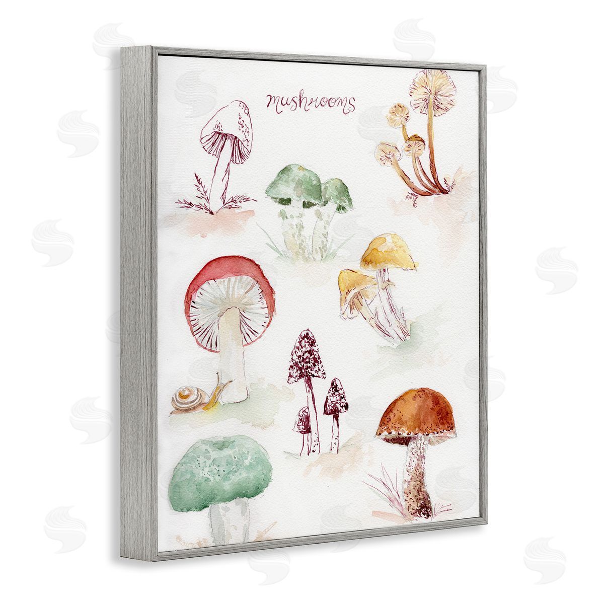 Types Of Mushrooms Grey Frame Print Wall Art, Home Decor by Melissa Hyatt
