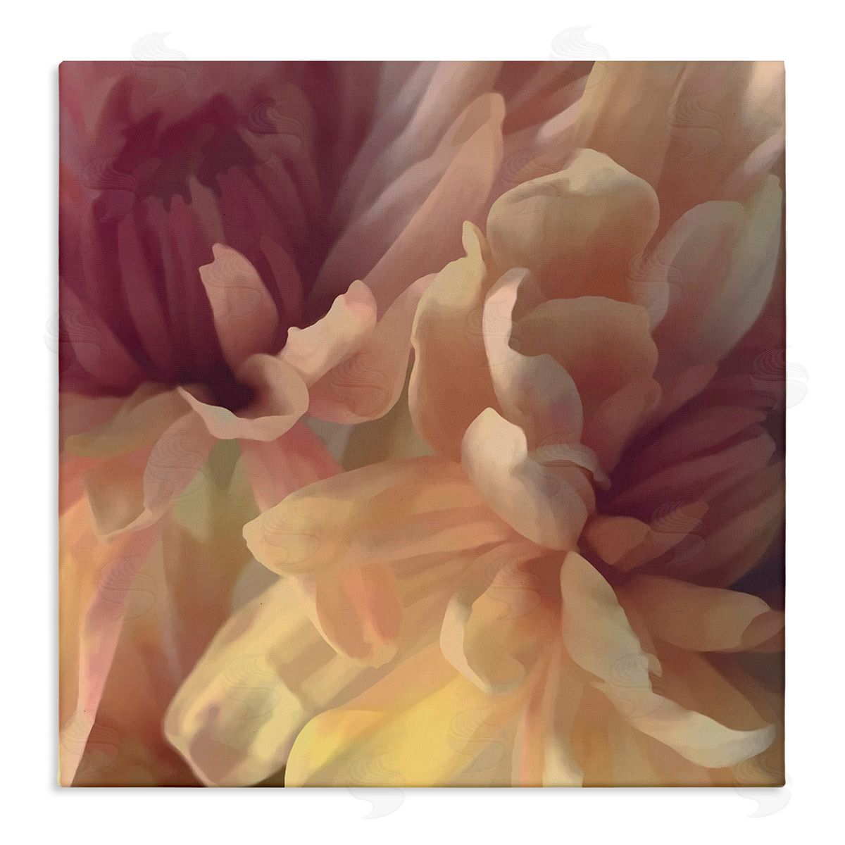 Curling Dahlia Petals Canvas Wall Art, Home Decor by David Pollard
