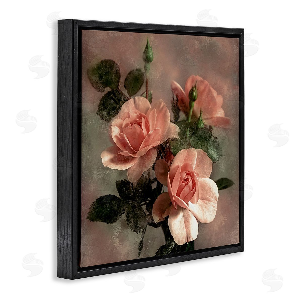 David Pollard Vintage Blush Petals Black Floating Frame Canvas Wall Art Print