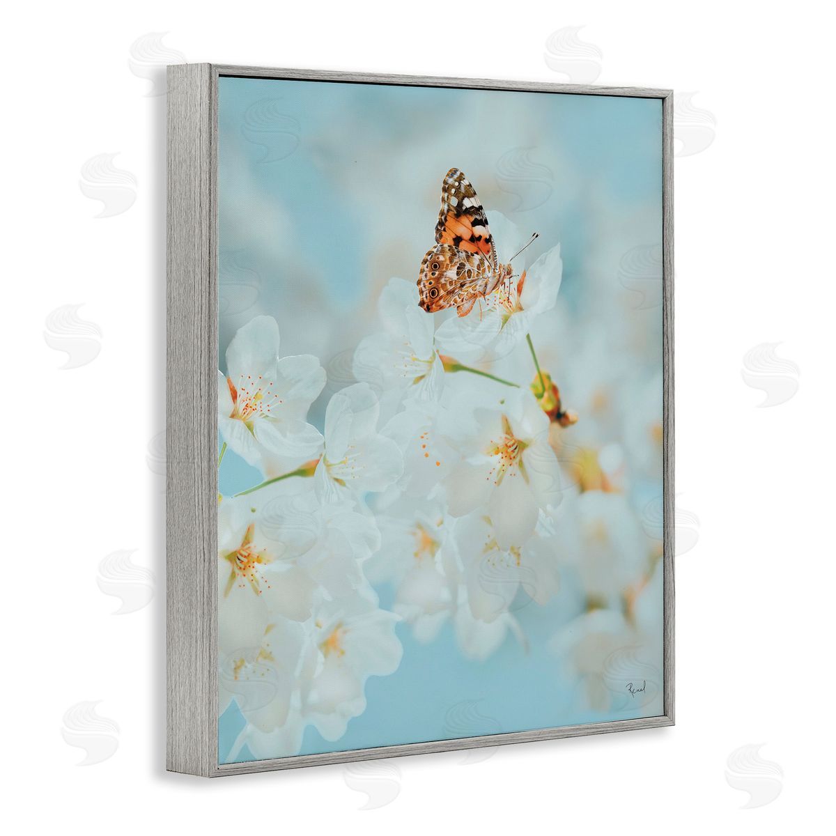 Pale Blossoms and Butterfly Grey Frame Print Wall Art, Home Decor by Renel Peters