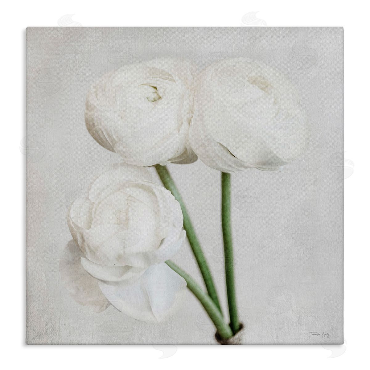 Charming Peony Trio Canvas Wall Art, Home Decor by Jennifer Rigsby