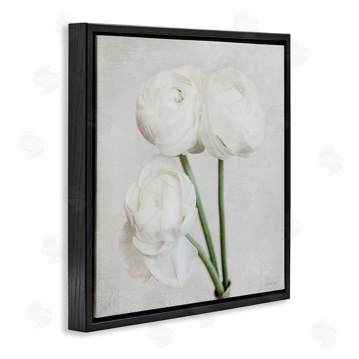 Charming Peony Trio Black Floating Frame Canvas Wall Art, Home Decor by Jennifer Rigsby