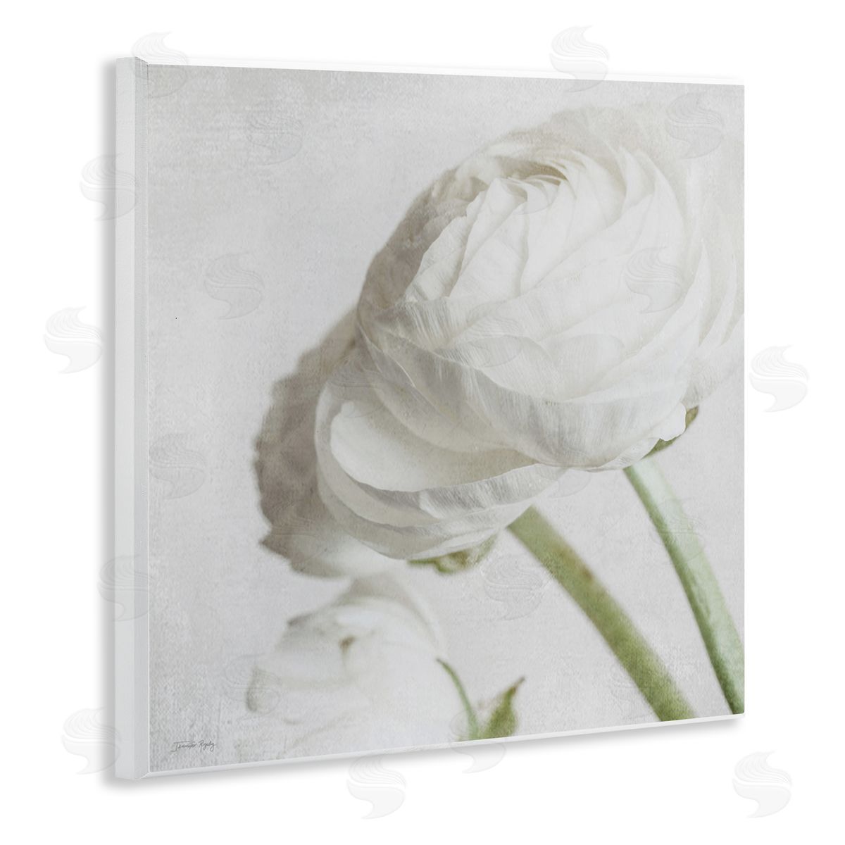 Charming White Peony Wood Plaque Wall Art, Home Decor by Jennifer Rigsby