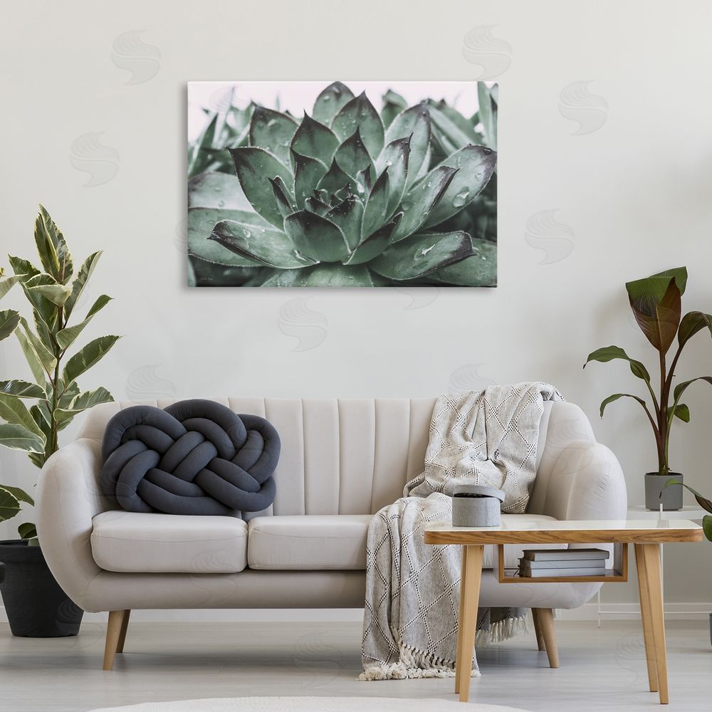 Jennifer Rigsby Succulent with Rain Droplets Canvas Wall Art Print in Room