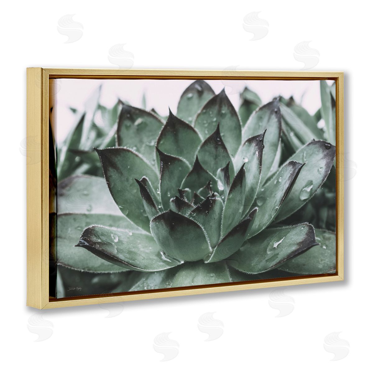 Jennifer Rigsby Succulent with Rain Droplets Gold Floating Frame Canvas Wall Art Print