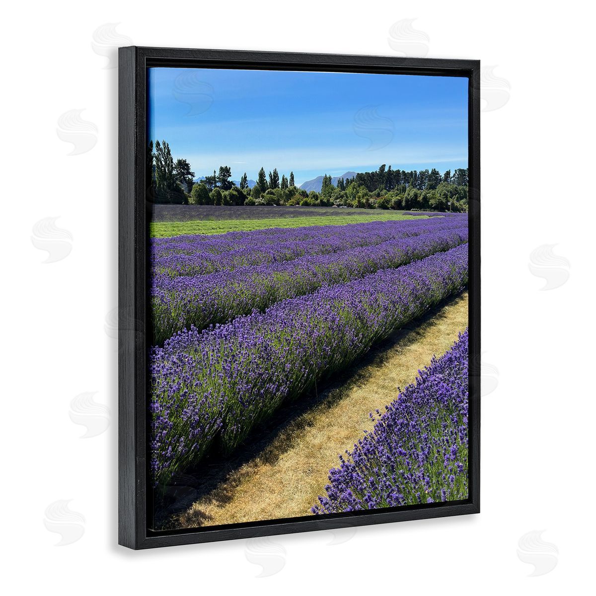 Lavender Path Landscape Black Floating Frame Canvas Wall Art, Home Decor by Kali Wilson