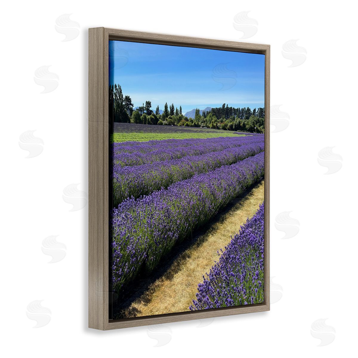 Lavender Path Landscape Brown Floating Frame Canvas Wall Art, Home Decor by Kali Wilson