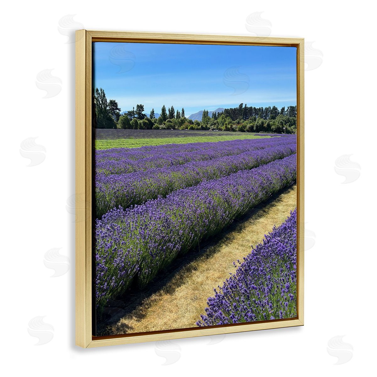 Lavender Path Landscape Gold Floating Frame Canvas Wall Art, Home Decor by Kali Wilson
