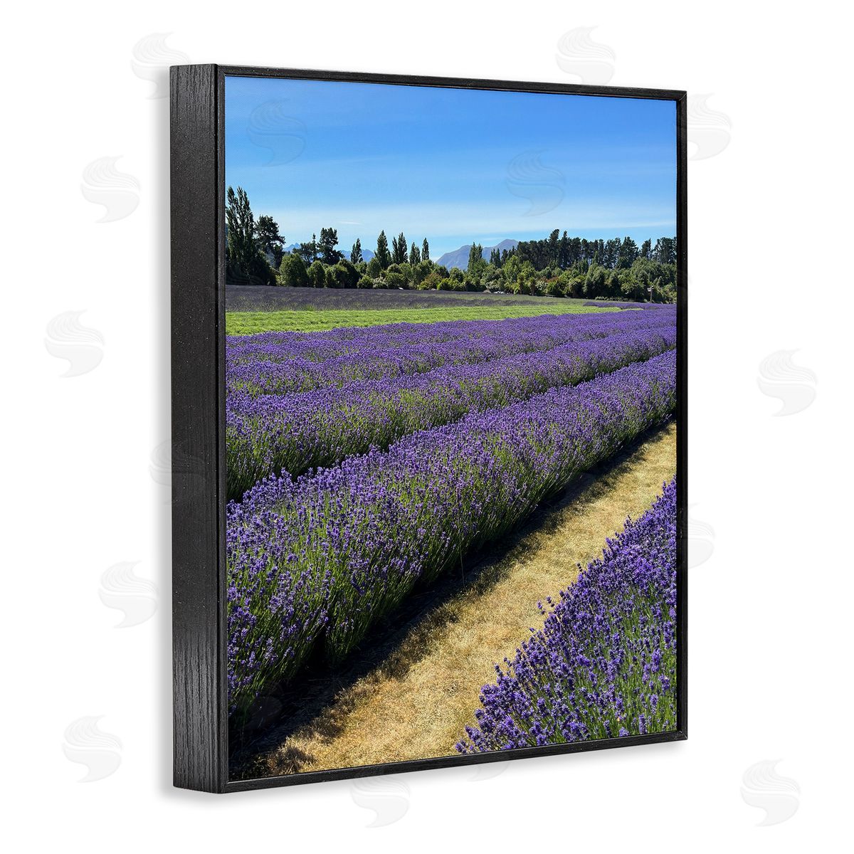 Lavender Path Landscape Black Frame Print Wall Art, Home Decor by Kali Wilson